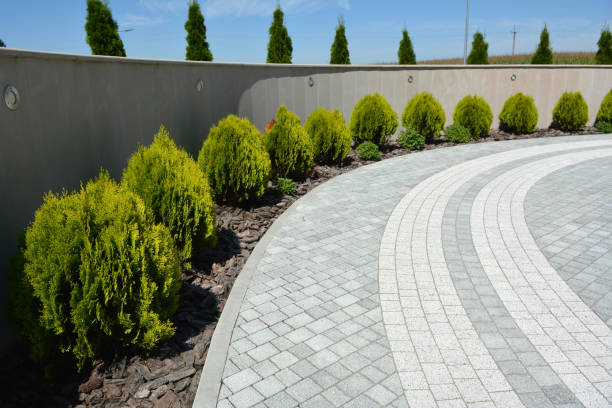 Best Driveway Repair Near Me  in Bullhead City, AZ